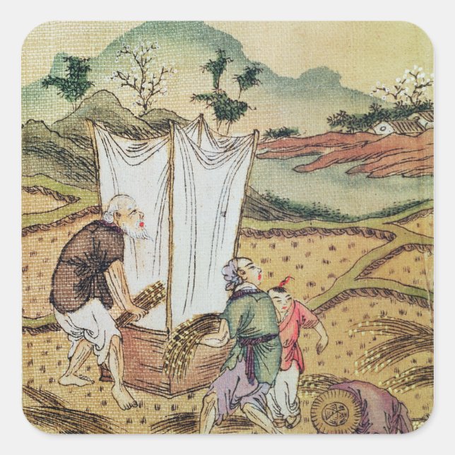 Sticker Carré L'histoire du riz (Devant)