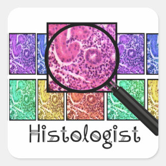Sticker Carré L'Histologue Dons Des Cellules Magnifiées Concepti