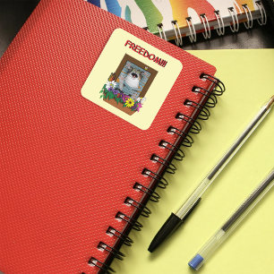 Sticker Carré Liberté Évasion Drôle Chat Floral Jaune Fenêtre