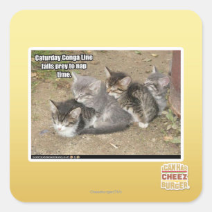 Sticker Carré Ligne de Conga de Caturday