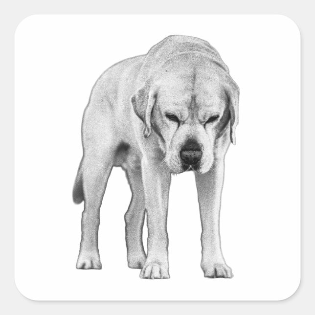 Sticker Carré Lignes définies (Devant)