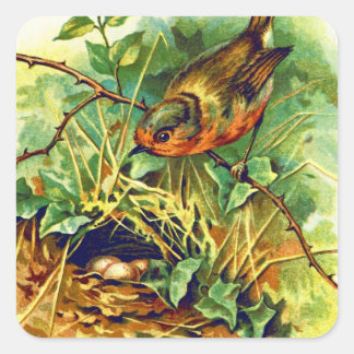Sticker Carré L'illustration Vintage du nid de Robin