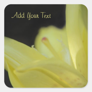 Sticker Carré Lily jaune par Shirley Taylor