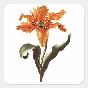Sticker Carré Lily orange fantaisie vintage en fleurs, fleurs de