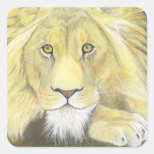 Sticker Carré Lion (Devant)