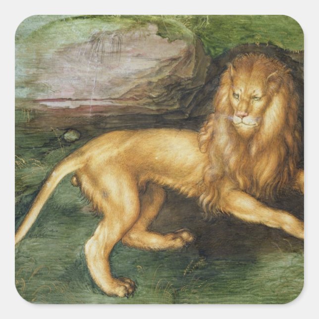 Sticker Carré Lion (Devant)