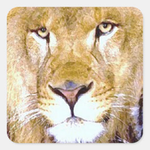 Sticker Carré Lion Eyes