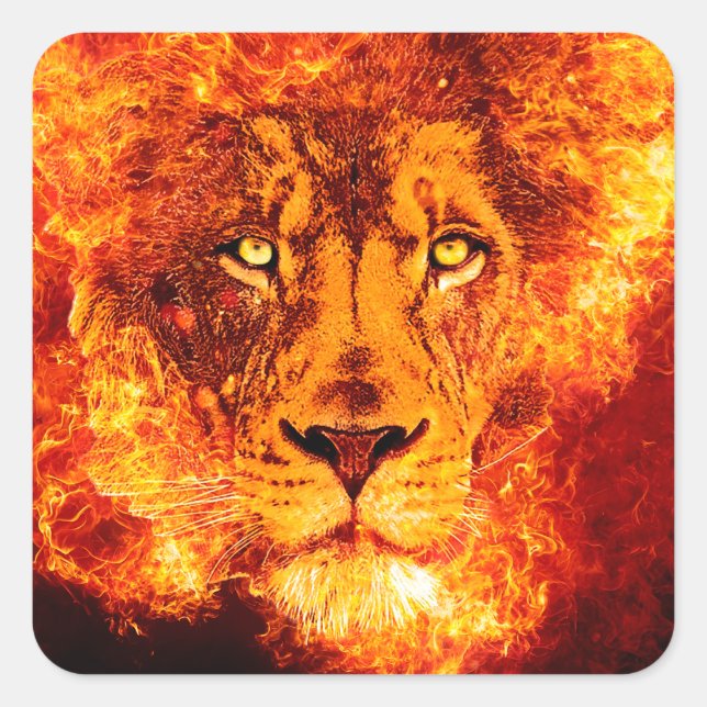 Sticker Carré Lion flamand de Juda (Devant)