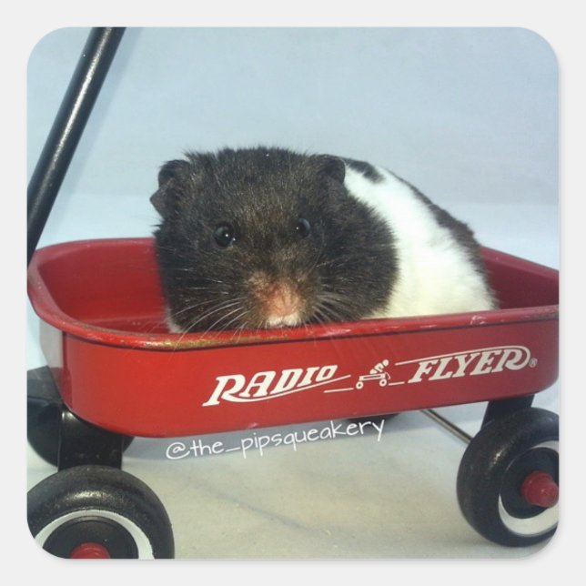 Sticker Carré Little Red Wagon (Devant)