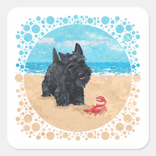 Sticker Carré Little Scottie trouve un crabe à la plage (Devant)