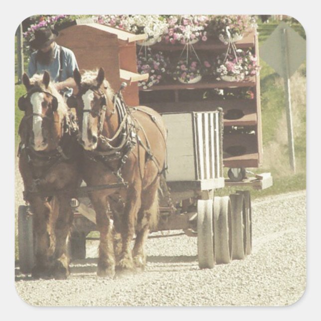 Sticker Carré Livraison de fleurs Amish (Devant)