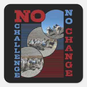 Sticker Carré Llama - Pas de défi Pas de changement Randonnée