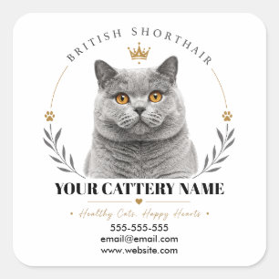 Sticker Carré Logo de chatterie britannique personnalisé Contact