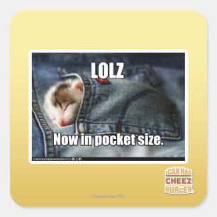 Sticker Carré LOLZ maintenant dans la taille de poche