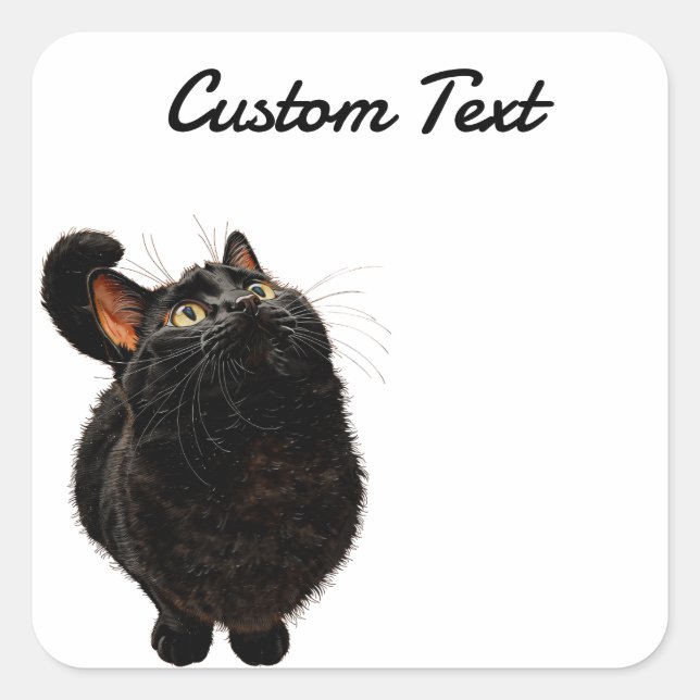 Sticker Carré Looking Up Cat -4 | Personalized Custom Text (Devant)