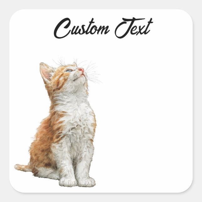 Sticker Carré Looking Up Cat | Personalized Custom Text (Devant)