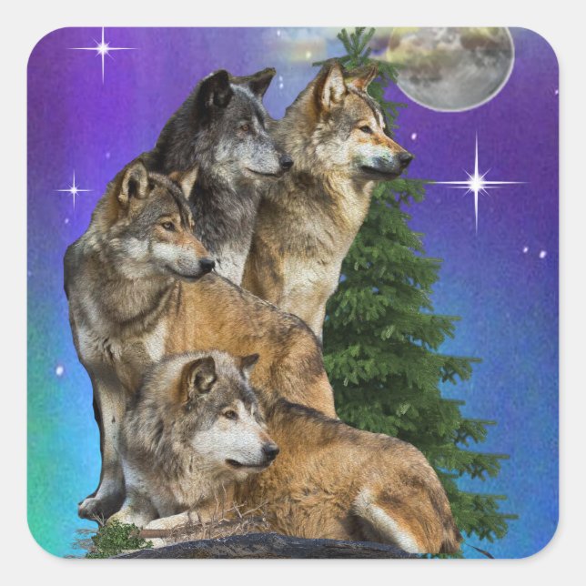 Sticker Carré Loup et Lune (Devant)