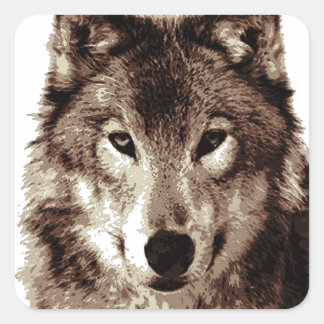 Sticker Carré Loup gris