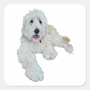 Sticker Carré Lovable Goldendoodle