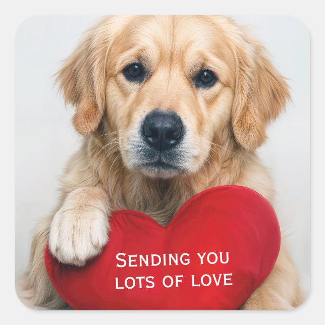 Sticker Carré Love Golden Retriever With a Red Heart Pillow (Devant)