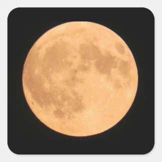 Sticker Carré Lune d'halloween orange