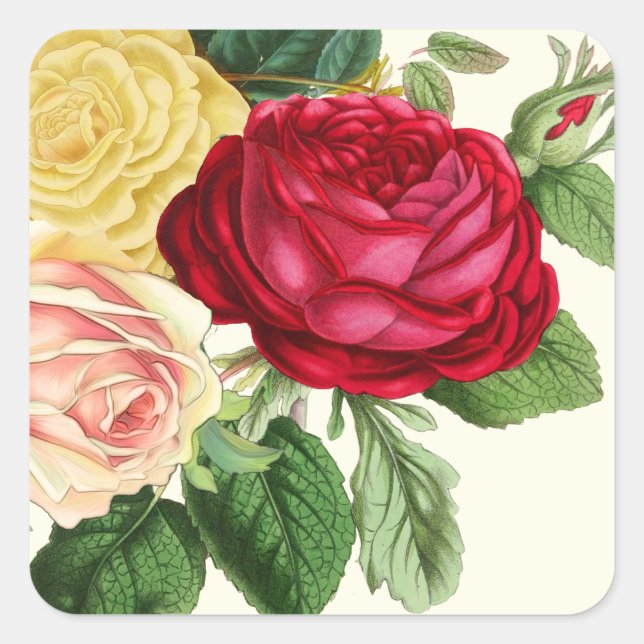 Sticker Carré Lush Vintage Floral ID225 (Devant)