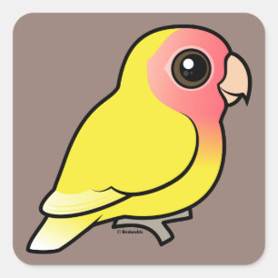 Sticker Carré Lutino Peach face Lovebird