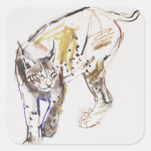 Sticker Carré Lynx européenne