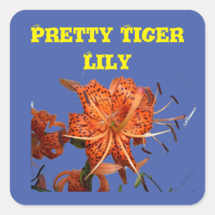 Sticker Carré Lys de tigres coincés sur le bleu Fleur amour pour