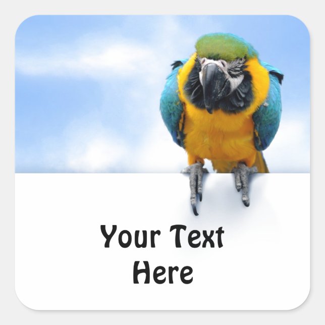 Sticker Carré Macaw personnalisable (Devant)