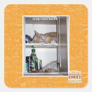 Sticker Carré Magishun Kitteh