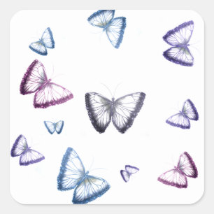 Sticker Carré Magnifique papillon