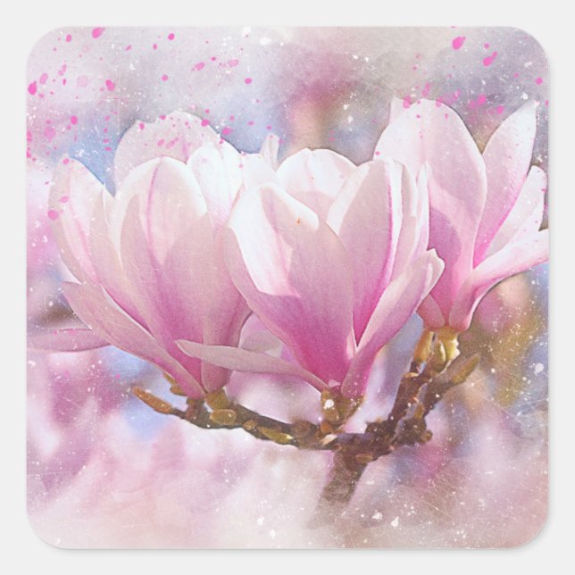 Sticker Carré Magnolia rose-pourpre en floraison - Fleur de prin (Devant)