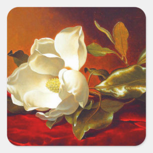 Sticker Carré Magnolia sur Red Velvet Martin Johnson Heade