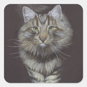 Sticker Carré Maine Coon