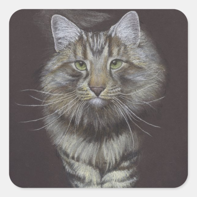 Sticker Carré Maine Coon (Devant)