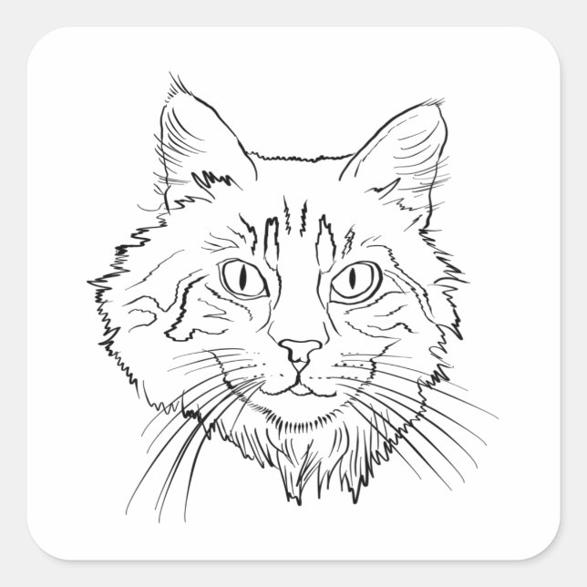 Sticker Carré Maine Coon Cat Line Art (Devant)