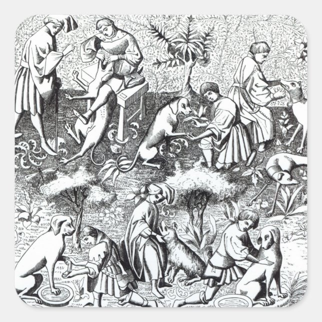 Sticker Carré Maladies des chiens et leur guérison, après une mi (Devant)