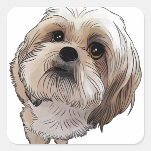 Sticker Carré Malshi CMA-shi