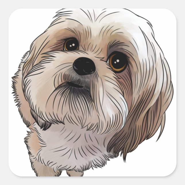 Sticker Carré Malshi Mal-shi (Devant)