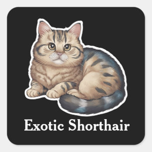 Sticker Carré Manche Exotique