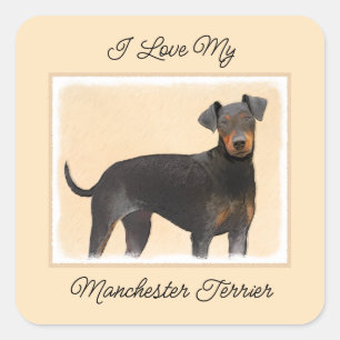 Sticker Carré Manchester Terrier Peinture Art animal original
