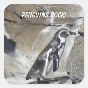 Sticker Carré Manchot cool