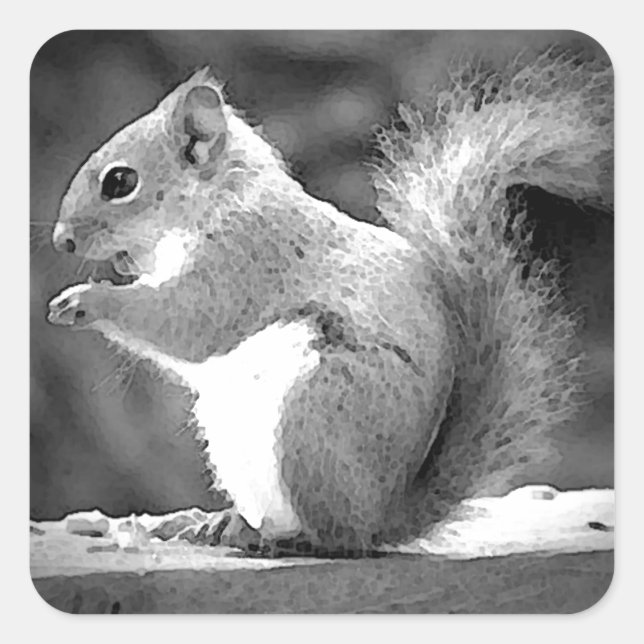 Sticker Carré Manger l'écureuil (Devant)