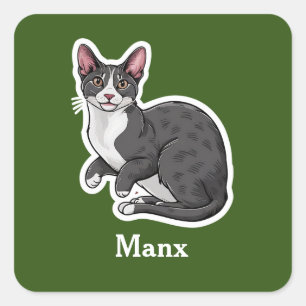 Sticker Carré Manx