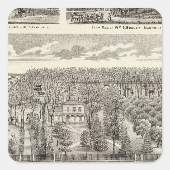 Sticker Carré Maple Grove (Devant)