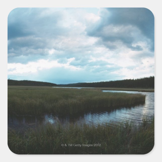 Sticker Carré Marais salé (Devant)