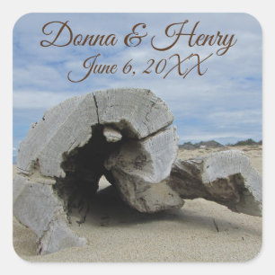 Sticker Carré Mariage de plage Beau bois flotté phoque photo