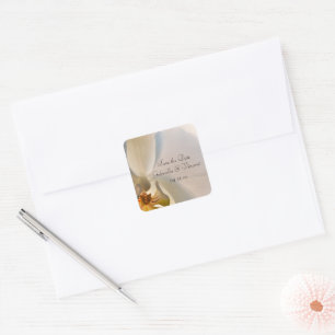 Sticker Carré Mariage Elégance Orchidée Blanche Enregistrer la d