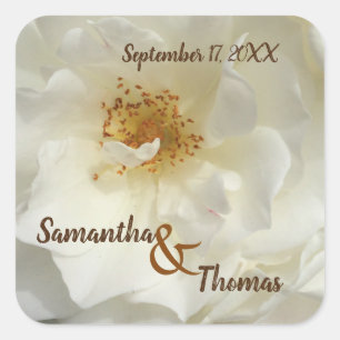 Sticker Carré Mariage Favor Jolie Rose blanche Photo Floral Invi